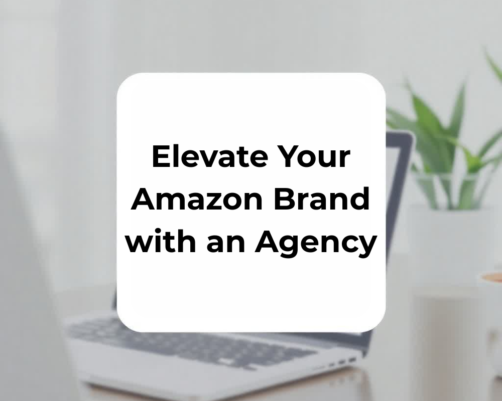 Elevate Your Amazon Brand with an Agency